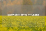 在探索中成长：我学会了学习的真谛
