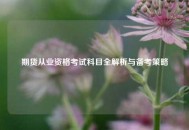 期货从业资格考试科目全解析与备考策略