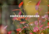 中国教师资格考试成绩查询指南