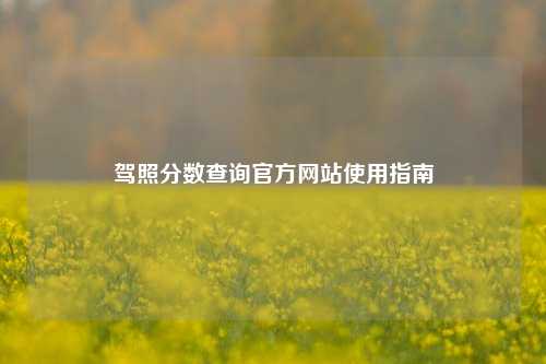 驾照分数查询官方网站使用指南