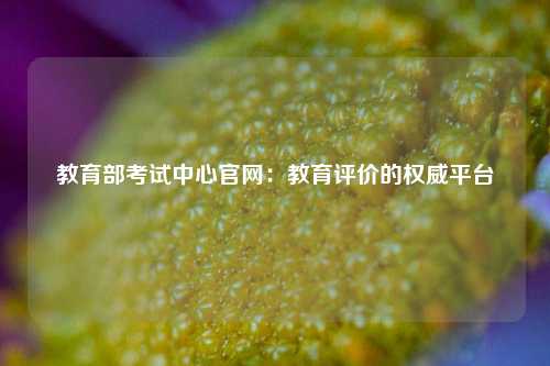 教育部考试中心官网:教育评价的权威平台